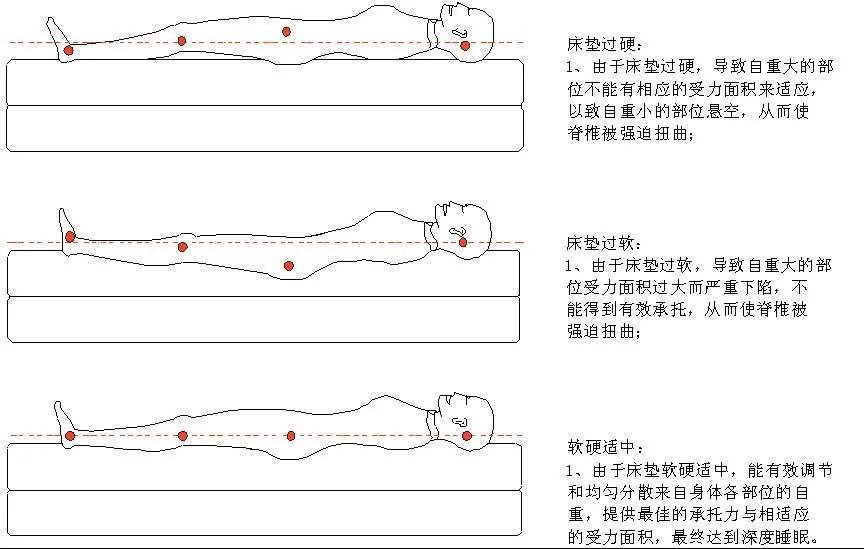 舒是床垫1.jpg